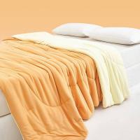 红秀世纺 GXSF2504-T02 奶油熊仔被 200×230cm (单位: 床)