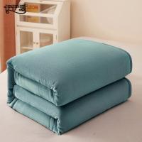 伊伊爱 TZ0TK02300163 纯色雪貂绒保暖多功能盖毯 150*200cm（单位：条）水绿
