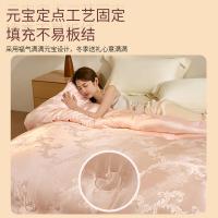 恒源祥（HYX） HYX222BZ 被子 抗菌大豆被 6斤 150*200cm （单位:条） 如意粉