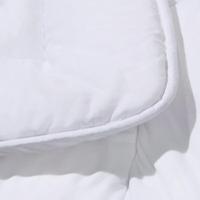 富安娜（fuanna） 云慕抗菌四季被 聚酯纤维 203*229cm 约1000g/条 （单位：条）
