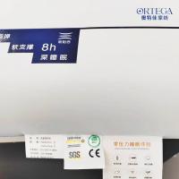 奥特佳（ORTEGA）JF060010白冰丝立体枕70cm*40cm*10cm（单位：个）