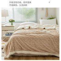 洁丽雅（grace） 双面暖绒 塔芙绒毛毯 200*230cm （单位:条） 卡其