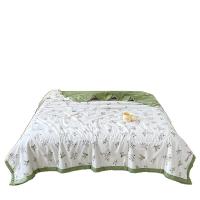 洁丽雅（grace） JLY-1002 春语润肤被 150*200cm 800g(单位：床)