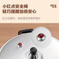 苏泊尔（SUPOR） VY223GBH01 高压力锅  22cm 5.5L（单位：个）