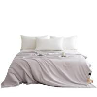 紫罗兰 VDZLPBZ13237 奢享桑蚕丝被 200x230cm 填充500克 (单位: 条)