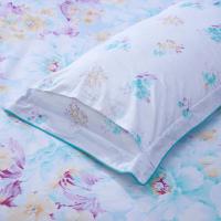 富安娜（fuanna） 四件套 水墨淡彩 被套203*229cm 床单230*250cm  枕套74*48cm*2 (单位:套)