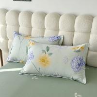 红蜻蜓 HQT-TJ8502时尚全棉四件套-兰俏 被套200×230cm×1 床单230×250cm×1 枕套48×74cm×2（单位：套）