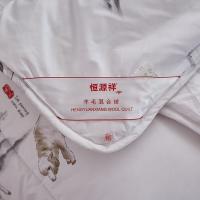 恒源祥（HYX） TGB1028 翔逸羊毛混合被 200*230cm 填充重量2000g (单位:条)