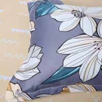天琴（TISEN）TQ-T123 花漾四件套 床单230*250cm 被罩200*230cm 枕套48*74cm （单位：套）