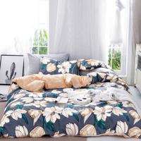天琴（TISEN）TQ-T123 花漾四件套 床单230*250cm 被罩200*230cm 枕套48*74cm （单位：套）