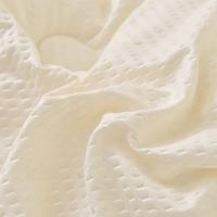 小熊家纺 BHCG-2610 泡泡纱绣花大豆冬被 200*230CM (单位: 条) 无纺布袋包装