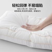 水星家纺（MERCURY） 星丽尔蚕丝纤丝对枕 531694 48cm*74cm*2 (单位:对)
