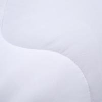 水星家纺（MERCURY） 舒享净柔抗菌四季被 125567 200*230cm (单位:条)