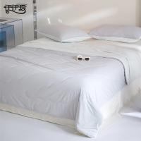 弗切尔珀榕 凉感锦氨大豆夏被 FTDC240939 200*230cm (单位:条) 高级灰＋灰白
