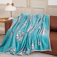 美缘登 绿野仙踪云绒毯 雪芙绒 T1040-1 180*200cm (单位:条)