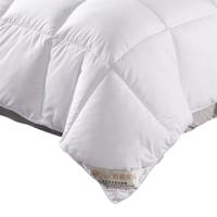 唐纳家纺 羽绒被 新该概念 TN-ZB24024 200*230CM (单位:条) 白色