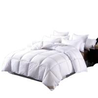 唐纳家纺 羽绒被 新该概念 TN-ZB24024 200*230CM (单位:条) 白色