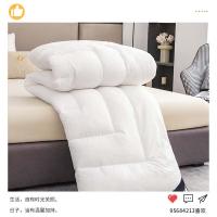 爱萝兔 防羽布羽绒棉被芯 ALTJF-1037 200*230cm (单位:床)