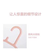 茶花（CHAHUA） 吉虹衣架 07061T 10只 (单位:套) 颜色随机发货