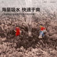 大江 蛋糕绒 浴室吸水垫 地垫 40*60cm 褐色（单位：张）