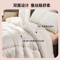 恒源祥（HYX） HYX233BZ 大豆保暖被 被子 200*230cm 白色（单位：床）