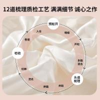 恒源祥（HYX） HYX233BZ 大豆保暖被 被子 200*230cm 白色（单位：床）