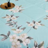 艾逸瑶选 圣安娜夏被 JF-24107 150x200cm 6床/箱 (单位:床) 新老包装随机发货