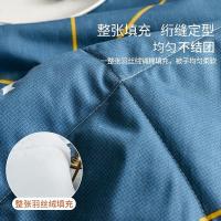 南极人（NanJiren） 亲肤空调夏凉被 NJXB214 150cm*200cm (单位:个) 被子圆角边和直角边随机发货