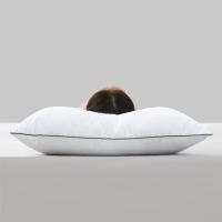 罗莱家纺（LUOLAI） 抗菌阻螨纤柔枕 星享 W-Hotel 46*72cm*2个 (单位:对) 新老包装随机发货