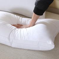 南极人（NanJiren） 枕芯 对装 45*70cm/个*2 (单位:对)