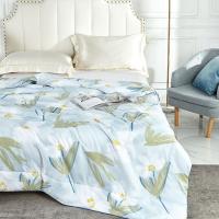 金丝莉（KINTHERI） 茶多酚元气被 JB-1215 150*210cm (单位:床)