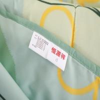 恒源祥（HYX） 夏晓夏凉被 礼袋款 HYX183BZ-DZ 200*230cm (单位:条) 绿色