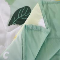 恒源祥（HYX） 夏晓夏凉被 礼袋款 HYX183BZ-DZ 200*230cm (单位:条) 绿色