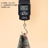 拜杰（BAIJIE）HL-139 便携式手提秤 测量范围0.01kg-50kg （单位：个)