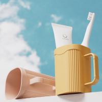 艾逸瑶选 CJ-21091 悦佳漱口对杯 490ml*2（单位：对）颜色随机
