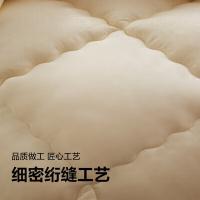 恒源祥（HYX） HYDB01 亲肤重工抑菌冬被 200*230cm （单位：条） 米黄