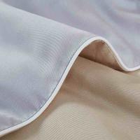 金丝莉（KINTHERI） JB-1306 美拉德蚕丝被 180×210cm (单位: 床)