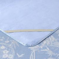 富安娜（fuanna） 盛夏荷风 冰丝提花席 席片150*200cm 枕套74*48cm*2 （单位：套）