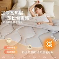 恒源祥（HYX） HYX276BZ 被子 8斤 200*230cm （单位:条） 浅灰