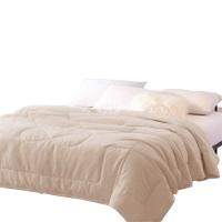 金丝莉（KINTHERI） YLH-1219191 好运夏眠被 180×210cm 澳绒布 聚酯纤维 （单位：床） 浅棕色