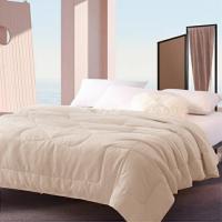 金丝莉（KINTHERI） YLH-1219191 好运夏眠被 180×210cm 澳绒布 聚酯纤维 （单位：床） 浅棕色