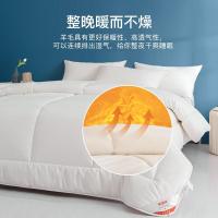 恒源祥（HYX） 一星级 羊行天下星级羊毛被 200*230cm (单位:床) 白色