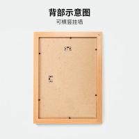金隆兴 SM-A3 相框 营业执照框荣誉证书框 337*460*18mm  (单位：个) 原木色