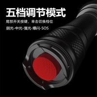 神火（supfire） C8-H 手电筒 167*45*30mm（单位：个）