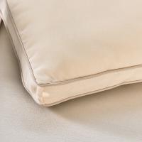 奥特佳（ORTEGA） JF020038 大豆冬被 200*230cm/4000g(单位：床) 玉色