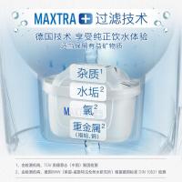 碧然德 海洋系列 滤水壶 总容量3.5L/净水部容量2L  一壶六芯装（单位：个） 蓝色