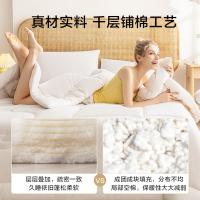 京东京造 双人加大经典春秋被 棉花被 5.2斤2.2x2.4m（单位：条）