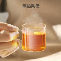 京东京造 YC23159 品茗杯饮用玻璃水杯高颜值杯子茶杯咖啡杯牛奶杯六只装100ml（单位：套）