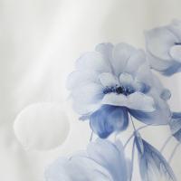 梦洁家纺 花境 1010289069 蚕丝纤维清爽被 150*200cm (单位:床)