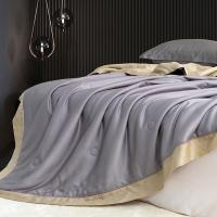 红秀世纺 SF2403-T003 纯手工双天丝被 200x230cm （单位：条）